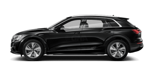 아우디_Q8 e-tron_2024년형_전기_Q8 55 e tron quattro_color_ext_side_Myth Black Metallic.png
