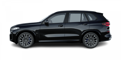 BMW_X5_2024년형_디젤 3.0_xDrive30d M Sport Pro_color_ext_side_블랙 사파이어 메탈릭.png