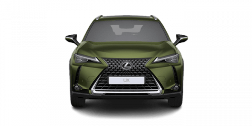 렉서스_UX_2024년형_가솔린 2.0 하이브리드_250h AWD_color_ext_front_TERRANE KHAKI MICA METALLIC.png