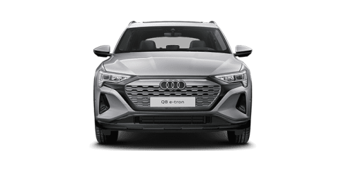 아우디_Q8 e-tron_2024년형_전기_Q8 55 e tron quattro_color_ext_front_Floret Silver Metallic.png