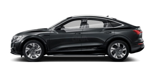 아우디_Q8 e-tron_2024년형_전기 스포트백_Q8 Sportback 55 e tron quattro_color_ext_side_Manhattan Gray Metallic.png