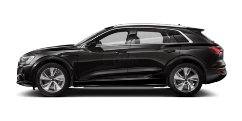 아우디_Q8 e-tron_2024년형_전기_Q8 55 e tron quattro_color_ext_side_Madeira Brown Metallic.png