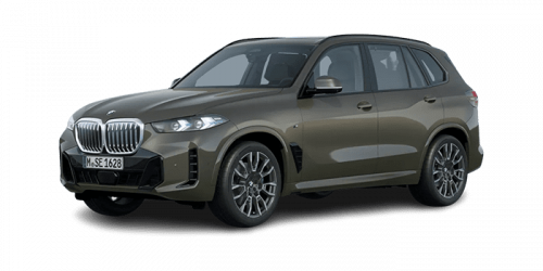 BMW_X5_2024년형_디젤 3.0_xDrive30d M Sport Pro_color_ext_left_맨해탄 메탈릭.png