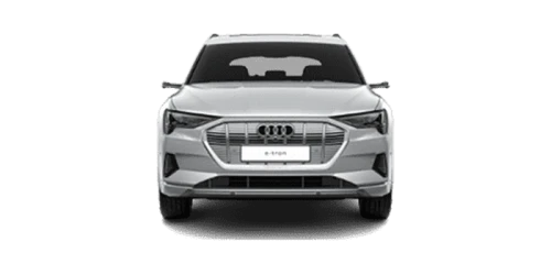 아우디_e tron_2023년형_전기_55 Quattro_color_ext_front_Floret Silver Metallic.png