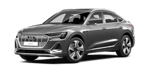 아우디_e tron_2023년형_소프트백 전기_55 Quattro SportBack_color_ext_left_Daytona Gray Pearlescent.png