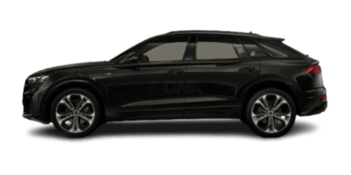 아우디_The new Q8_2025년형_디젤 3.0_50 TDI Quattro Premium_color_ext_side_Mythos Black Metallic.png