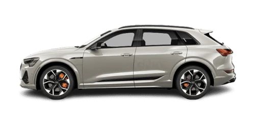 아우디_e tron_2023년형_S 전기_e tron S_color_ext_side_Siam Beige Metallic.png